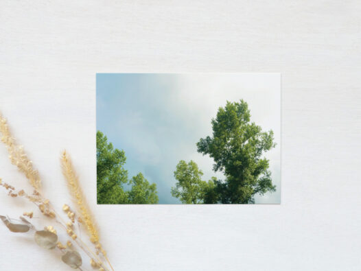 Carte postale photo Nature • Papier Lune