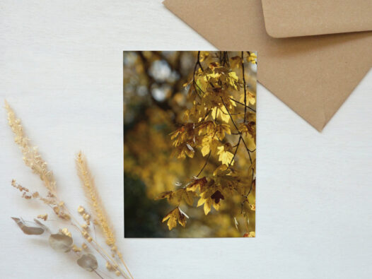 Carte postale photo Automne • Papier Lune