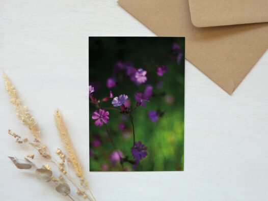 Carte postale photo Fleurs sauvages • Papier Lune