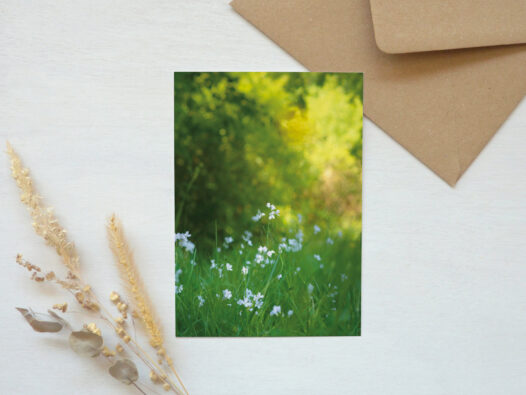 Carte postale photo Nature • Papier Lune