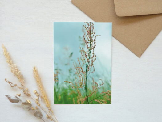 Carte postale photo Fleurs • Papier Lune