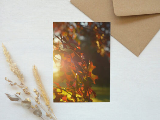 Carte postale photo Automne • Papier Lune