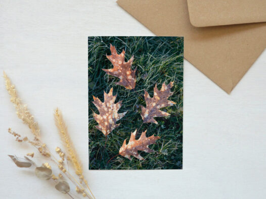 Carte postale Nature en automne • Papier Lune