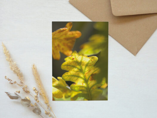 Carte postale Feuille d'automne • Papier Lune