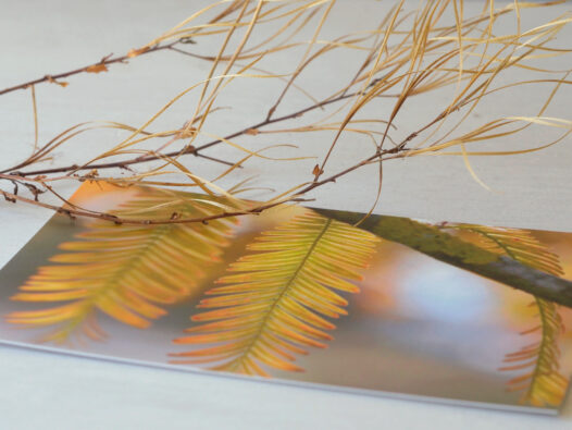 Carte postale Nature en automne • Papier Lune