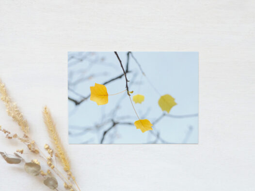 Carte postale Nature en automne • Papier Lune
