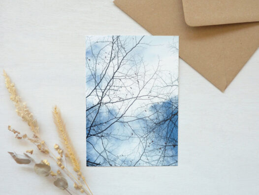 Carte postale Nature en hiver • Papier Lune