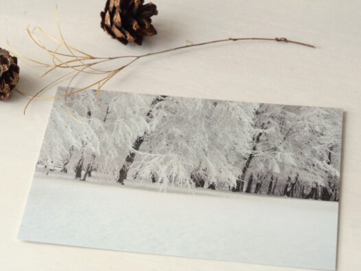 Carte postale Forêt enneigée • Papier Lune