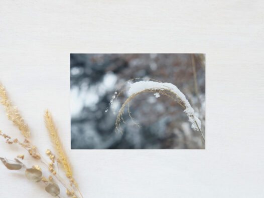 Carte postale Nature en hiver • Papier Lune