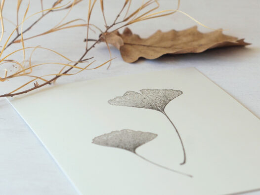 Papier Lune • carte postale Ginkgo