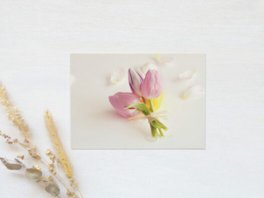Carte postale Tulipes • Papier Lune
