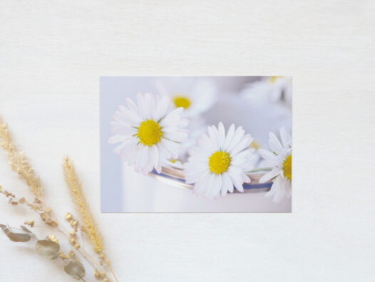 Carte postale Printemps • Papier Lune