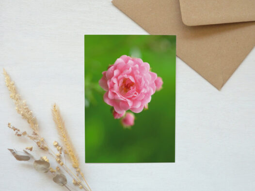 Carte postale Fleur de printemps • Papier Lune