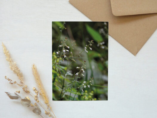Carte postale Fleur sauvage • Papier Lune