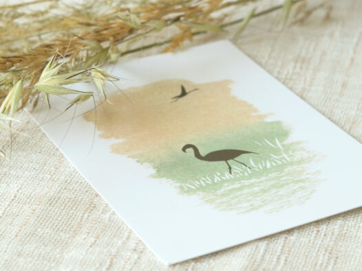 Carte postale Nature : Flamant rose • Papier Lune