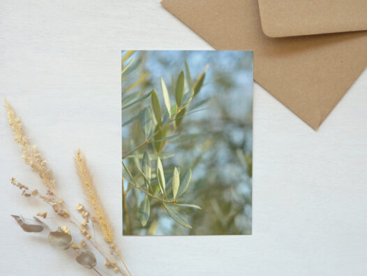 Carte postale photo Olivier • Papier Lune