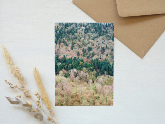 Carte postale Nature • Papier Lune