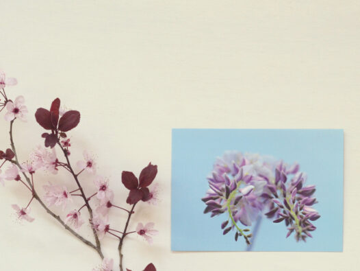 Carte postale Fleurs de printemps • Papier Lune