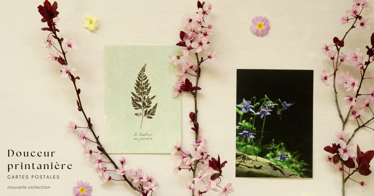 flex_04_papier_lune_cartes_printemps_2026_1220x640