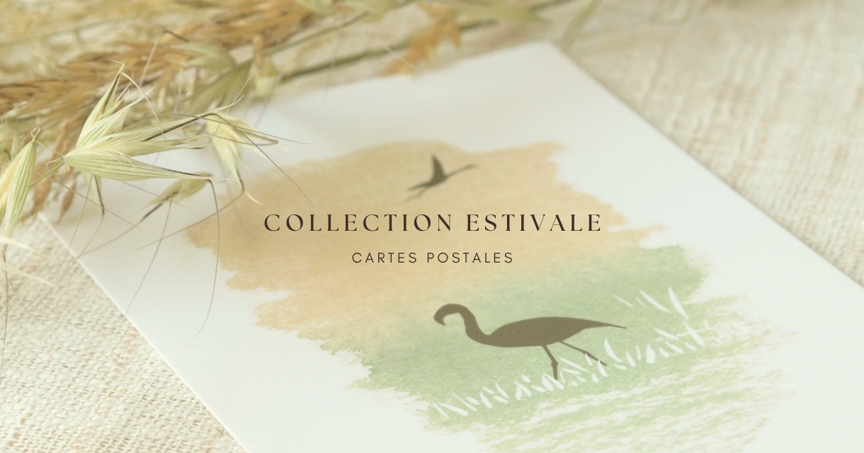 flex_papier_lune_cartes_ete_1220 x 640